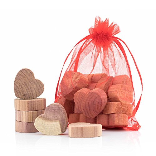 Hangerworld 20 Figuras de Madera de Cedro Antipolilla Natural Cajones y Armarios Protección de Lana