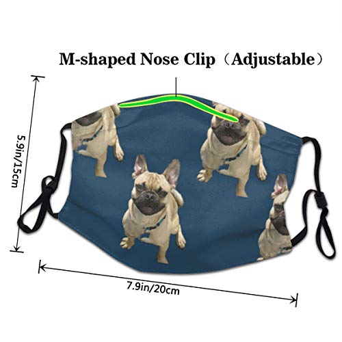 Happy Bosco Mascarilla Reutilizable, Máscara facial de tela lavable Bandana, protección contra el polvo del sol, pasamontañas faciales, protector para pesca y ciclismo