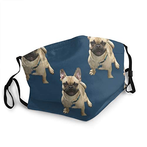 Happy Bosco Mascarilla Reutilizable, Máscara facial de tela lavable Bandana, protección contra el polvo del sol, pasamontañas faciales, protector para pesca y ciclismo