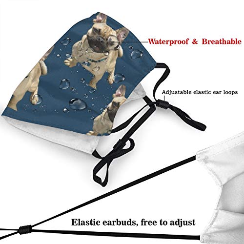 Happy Bosco Mascarilla Reutilizable, Máscara facial de tela lavable Bandana, protección contra el polvo del sol, pasamontañas faciales, protector para pesca y ciclismo