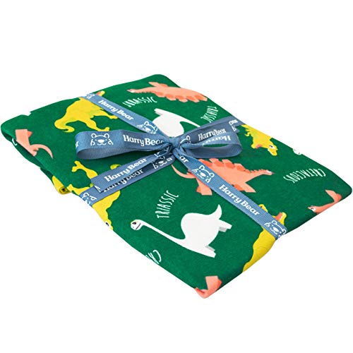 Harry Bear Pijamas de Manga Larga para niños Dinosaurio Ajuste Ceñido Multicolor 2-3 Años