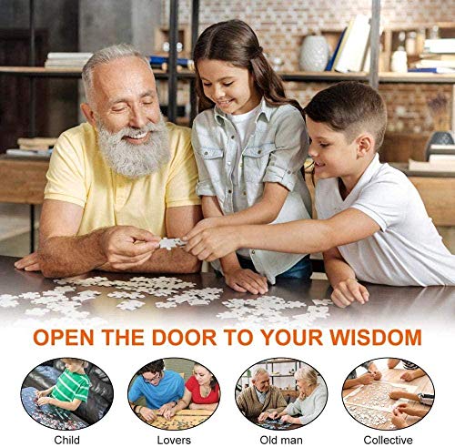 HDHDHD 1000 Piezas de Rompecabezas para Adultos con Temas, Juegos de Rompecabezas para Juegos educativos Familiares, Belleza Japonesa, Rompecabezas de desafío Cerebral para niños