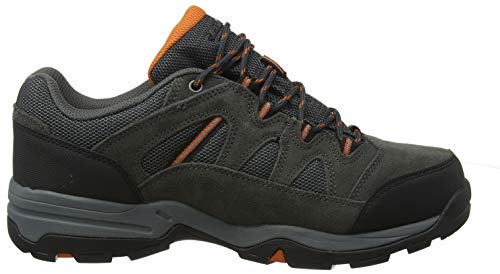 Hi-Tec Banderra II Low WP, Zapatillas de Senderismo para Hombre, Gris (Charcoal/Graphite/Burnt Orange 51), 41 EU