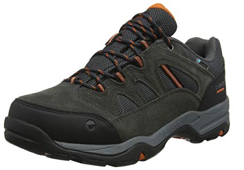 Hi-Tec Banderra II Low WP, Zapatillas de Senderismo para Hombre, Gris (Charcoal/Graphite/Burnt Orange 51), 41 EU