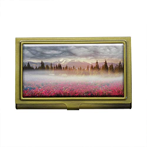 High Alpine Peaks Mountain Closeness to Nature - Tarjetero de acero inoxidable (metal), color bronce