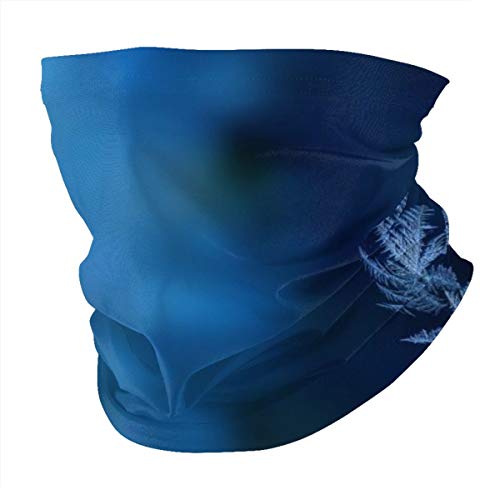 Homect Nature - Máscara de invierno para ventana de cristal con efecto hielo y frío, para mujer, para invierno, para la cabeza, bufandas, bufandas, bufandas, gorros mágicos para mujeres y hombres