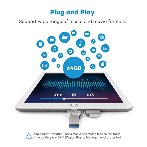 Hootoo Memoria Usb Para Iphone y Ipad 64Gb, [Certificado Mfi] Pendrive Otg Memoria Flash 2 en 1 Compatible con Iphone y Ipad, Iphone X/8/8Plus/7/7 Plus/6/6S/6S Plus/5S, Ipad, Mac, Portatiles Windows