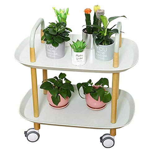HUANXI 2 Nivel Ruedas para Carrito con Ruedas,Verde Plástico Muebles de Almacenamiento para Peinado, Muebles De Belleza con Cerradura, Gabinete De Peluquería, Almacenamiento