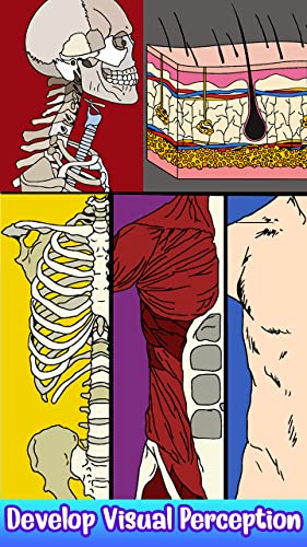 Human Body Color By Number Art - Anatomy Coloring Book