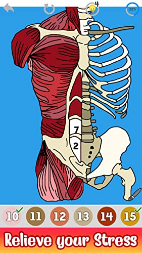 Human Body Color By Number Art - Anatomy Coloring Book