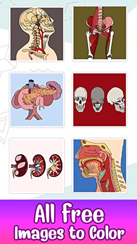 Human Body Color By Number Art - Anatomy Coloring Book