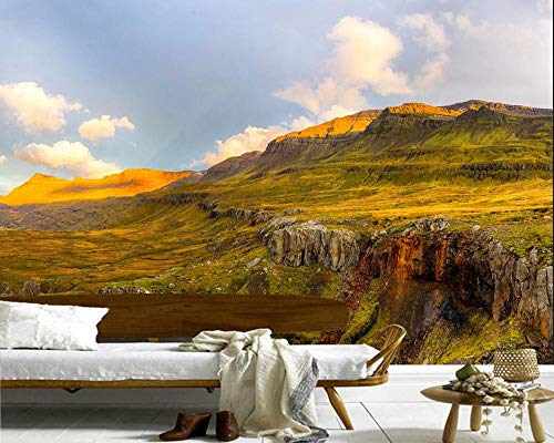 Iceland Hill Moss Nature Foto 3D Papel Tapiz Mural, Sala De Estar Sofá TV Pared Dormitorio Pared Papeles Decoración Hoem Café,350 * 256Cm