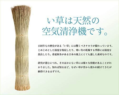 IKEHIKO 3613390 - Almohada tradicional japonesa hecha de igusa natural con forma de memoria de 50 x 30 cm, libélula hecha en Japón