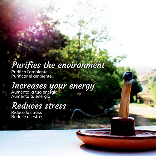 Incienso Natural Palo Santo - Palitos Variedad Amarillo - 5 Palitos - Aroma balsámico y Fresco - Original Bursera Graveolens ecuatoriano - Recupera Buena energía y alegría!