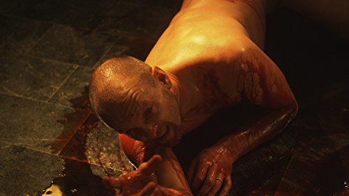 Isle of Dogs [Alemania] [DVD]