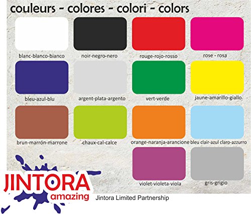 JINTORA Etiqueta para el Coche/Etiqueta engomada - Sexo - 207x99 mm - JDM/Die Cut - Coche/Ventana/Laptop/Ventana - Verte