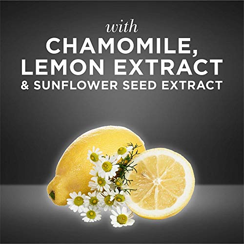 John Frieda Sheer Blonde Go Blonder Lightening Shampoo and Conditioner, New 8.3 Fluid Ounce by John Frieda