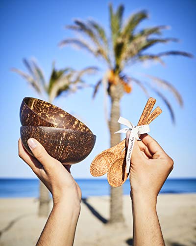 Juego de 2 cuencos de coco Pandoo con cucharas, producto 100% natural, alternativa sin plástico, hechos a mano y pulidos con aceite de coco