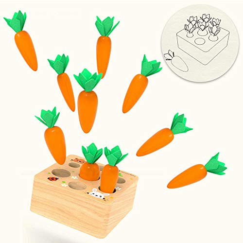 Juguete de Zanahoria de Madera,Juego de Clasificación de Tamaño de Forma de Cosecha de Zanahorias,Adecuado para Niños y Niñas Mayores de 2 Años para Aprender Habilidades Motoras Finas en Preescolar