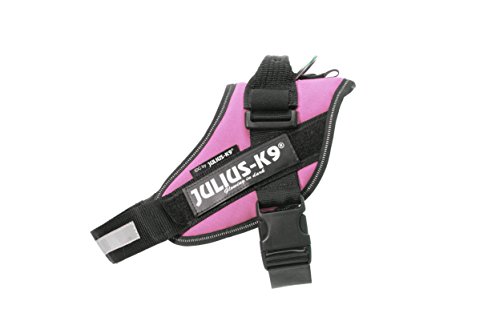 Julius-K9 16IDC - Power Harness