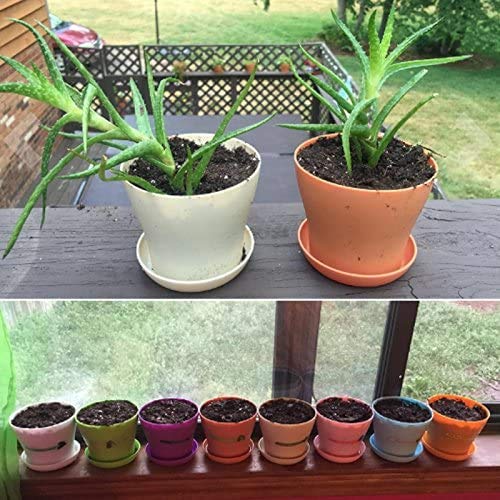 KINGLAKE 8 Piezas de macetas de plástico de Colores, macetas de Plantas de Interior de 10 cm con paletas para Plantas de Carne y Otras Plantas pequeñas
