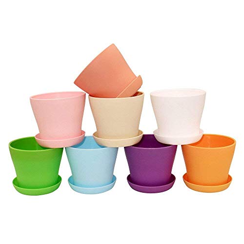 KINGLAKE 8 Piezas de macetas de plástico de Colores, macetas de Plantas de Interior de 10 cm con paletas para Plantas de Carne y Otras Plantas pequeñas