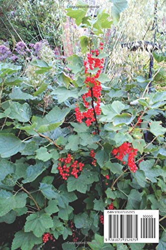 Kiss for fruit in my garden: Keep it super simple with monthly to do lists (Kiss in my garden)