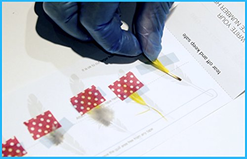 Kit de Sexado de Aves por ADN para Loros, Agapornis, Cacatúas, Guacamayo, (300 Psitácidas más) - ENVÍO GRATIS - Incluido Certificado de sexaje.