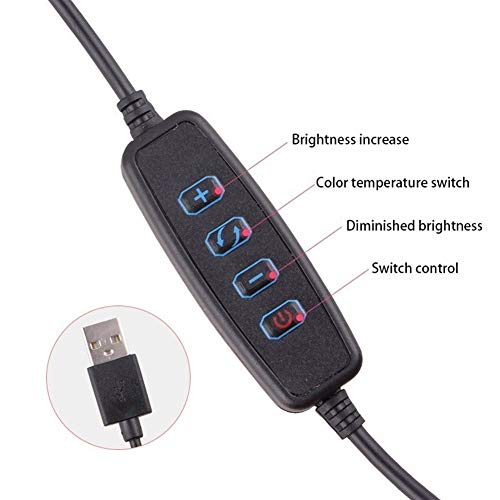 KUYUC Anillo de Luz LED con Trípode, 3 Modos de Luz & Soporte de Teléfono, Aro de Luz para Disparo Cámara Youtube Video TikTok (Size : 10inch)