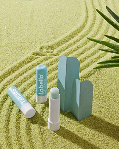 Labello Lip Scrub Aloe Vera (5,5 ml), cuidado de labios innovador con partículas de scrub de origen natural, suave exfoliante de labios con vitamina E