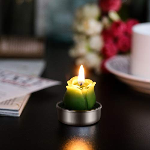 LEEQ - Velas de Cactus, 12 Unidades, Hechas a Mano, para Teatro, SPA, casa, Fiesta, Boda, decoración