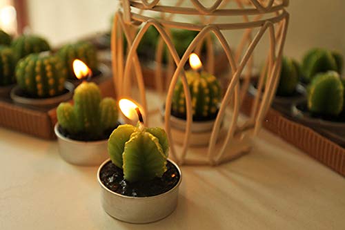 LEEQ - Velas de Cactus, 12 Unidades, Hechas a Mano, para Teatro, SPA, casa, Fiesta, Boda, decoración