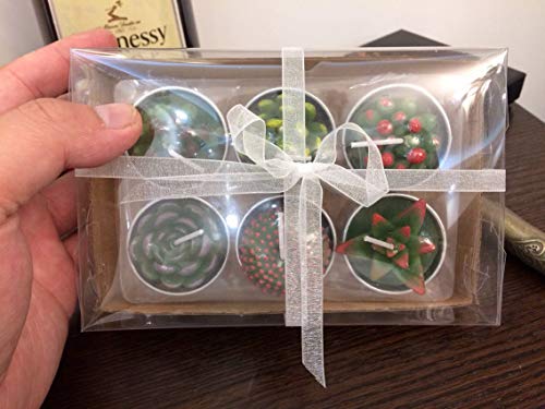 LEEQ - Velas de Cactus, 12 Unidades, Hechas a Mano, para Teatro, SPA, casa, Fiesta, Boda, decoración