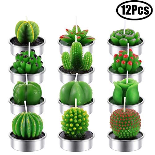 LEEQ - Velas de Cactus, 12 Unidades, Hechas a Mano, para Teatro, SPA, casa, Fiesta, Boda, decoración