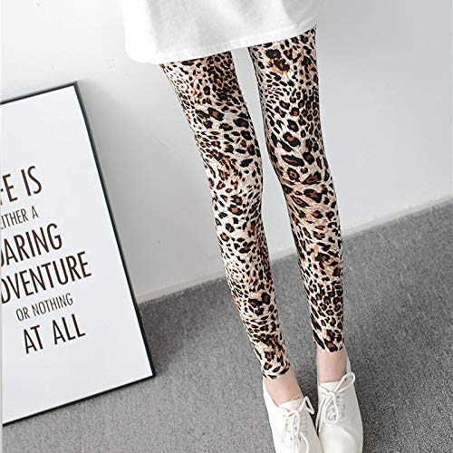 Leggings Nuevas Leggings De Leopardo, Mallas Sexis De Fitness para Mujer, Mallas Push Up, Ropa Deportiva, Jeggings De Punto De Acceso, Panta