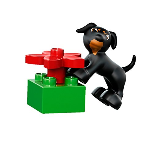 LEGO DUPLO - My First Caja de Diversión, Juguete de Preescolar de Construcción para Niños y Niñas de 1 Año y Medio a 5 Años Divertido y Educativo (10572) , color/modelo surtido