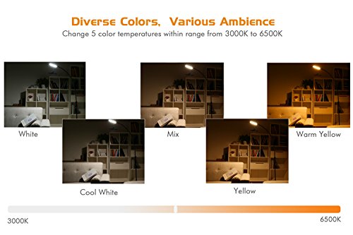 Lewondr Lámpara de pie LED, Lámpara de Pie para Lectura con Control Remoto, Cuello de Ganso Flexible, Brillo/Temperatura de Color Sin Escalonamientos,Función de Memoria para el Dormitorio, Negro