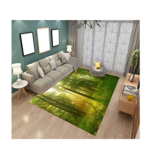 LGXINGLIyidian Alfombra Personalizable Hermoso Bosque Soleado Prado Impresión 3D Sala De Estar Dormitorio Alfombra Cálida 180X180Cm