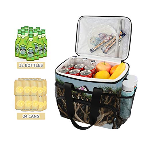 LINPM Cooler Bag, Dragon Tree Tenerife Biggest Dracaena Spain 15l Bolsa de Almuerzo aislada Grande Enfriador de Picnic, Enfriador de Camping