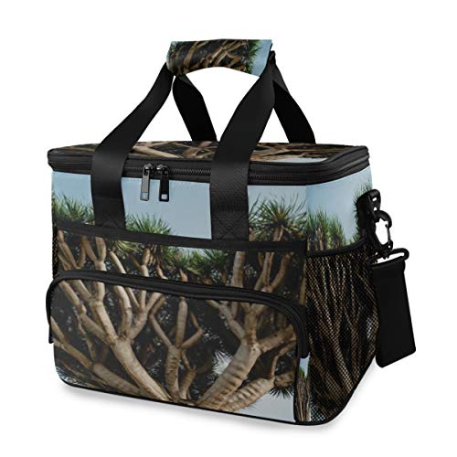 LINPM Cooler Bag, Dragon Tree Tenerife Biggest Dracaena Spain 15l Bolsa de Almuerzo aislada Grande Enfriador de Picnic, Enfriador de Camping