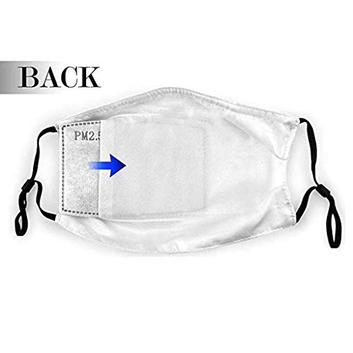 LINTONG 1 Adulto, Tejido Lavable, Ma`scara Reutilizable MáS 2 Filtros