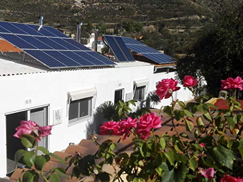 Lorusso Mermelada de Mora Ecológica 'Amor e Mora' (80% Fruta) 305 g