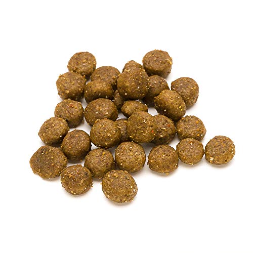 Marca Amazon - Lifelong Complete- Alimento seco completo para perros (razas pequeñas) con salmón y arroz, 1 x 10 kg