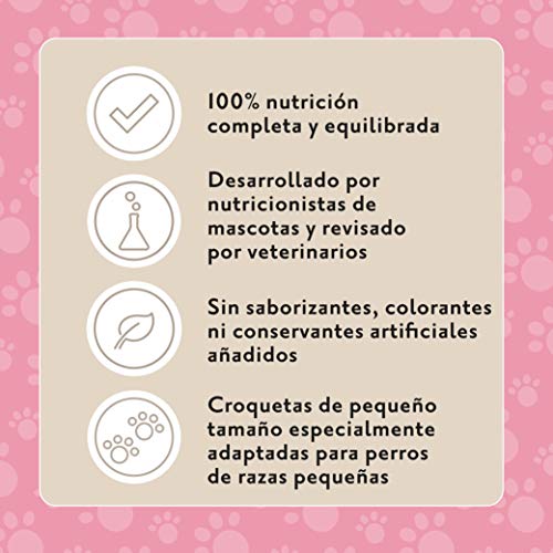 Marca Amazon - Lifelong Complete- Alimento seco completo para perros (razas pequeñas) con salmón y arroz, 1 x 10 kg