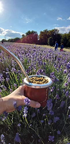 Mate argentino [nuevo] Auténtico calabaza mate natural hecho a mano [taza original mate] Bombilla incluida [Yerba mate pajita]