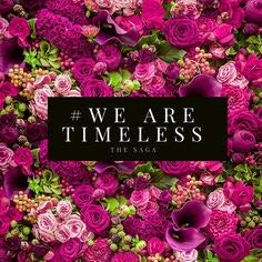 Matrixyl Synthe'6 Serum 1 oz by Timeless