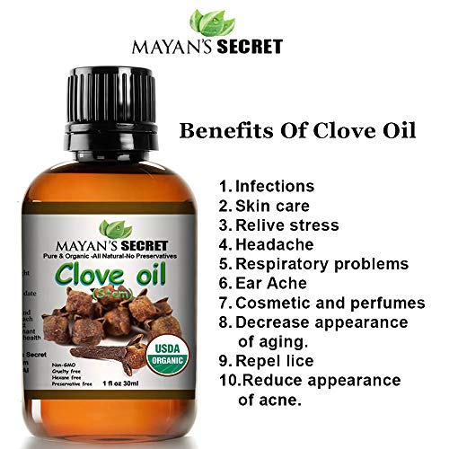 Mayan's Secret USDA Certified Organic Pure Clove Stem Essential Oil - Pure and Natural, Therapeutic Grade Large 1oz Bottle - Perfect for Aromatherapy, Relaxation, Skin Therapy & More