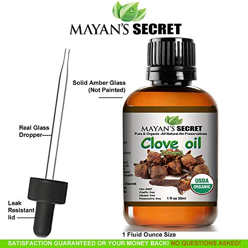 Mayan's Secret USDA Certified Organic Pure Clove Stem Essential Oil - Pure and Natural, Therapeutic Grade Large 1oz Bottle - Perfect for Aromatherapy, Relaxation, Skin Therapy & More