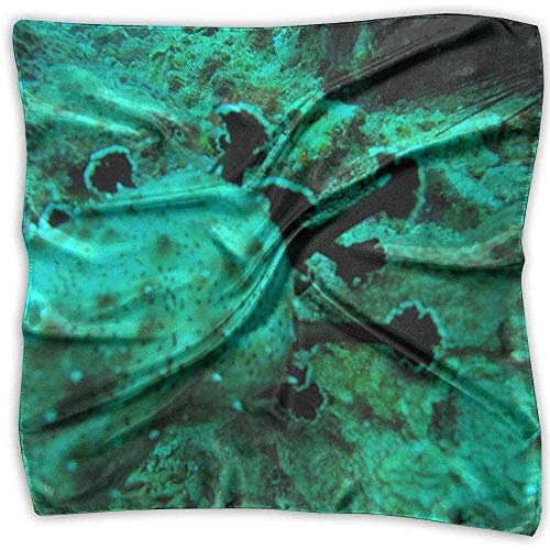 Merle House Pepino de mar Filipinas Bufanda cuadrada estampada para mujer Tocado Cuello Satén Bufandas Abrigo Chal Pañuelo