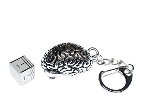 Miniblings Plata Cerebro Anillo de Llavero llaveros órgano Medicina